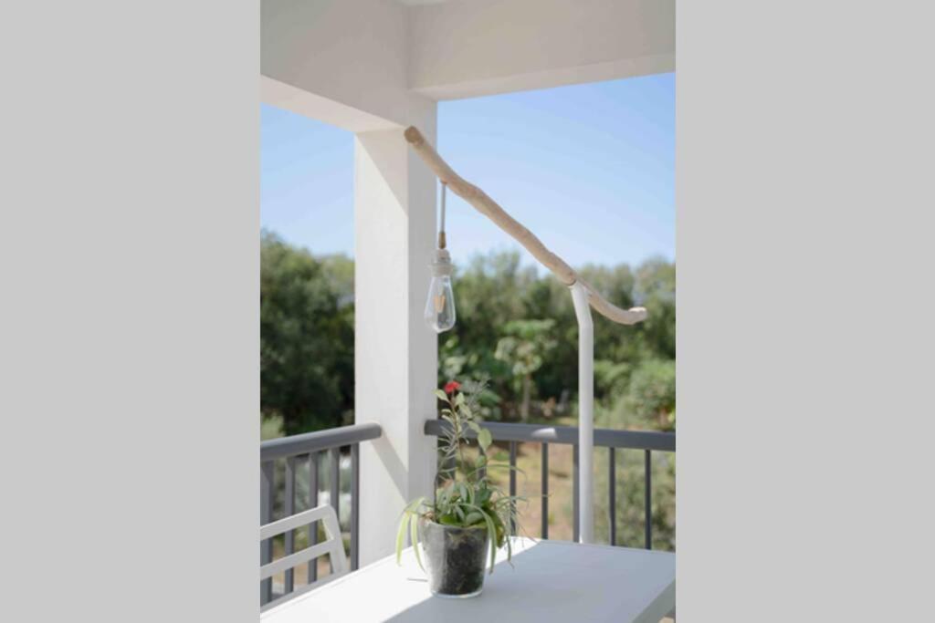 Ti-Punch T3 Climatise Manapany Les Bains Apartment Luaran gambar